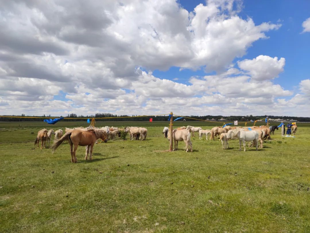 640 (17).jpg 640 (17).jpg